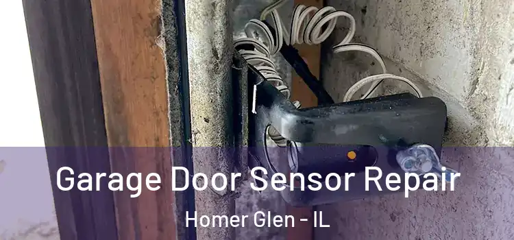 Garage Door Sensor Repair Homer Glen - IL
