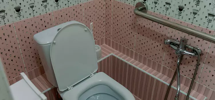 Meeting Diverse Needs With Accessible Restroom Solutions in Homer Glen, IL