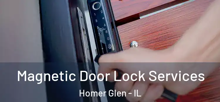 Magnetic Door Lock Services Homer Glen - IL